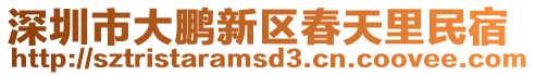 深圳市大鵬新區(qū)春天里民宿