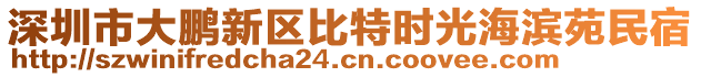 深圳市大鵬新區(qū)比特時光海濱苑民宿