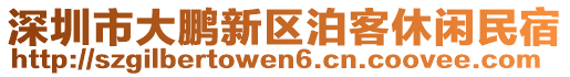 深圳市大鵬新區(qū)泊客休閑民宿