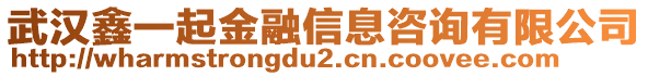 武漢鑫一起金融信息咨詢有限公司