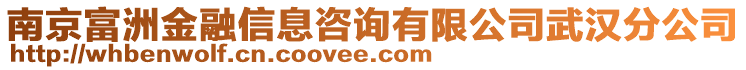 南京富洲金融信息咨詢(xún)有限公司武漢分公司