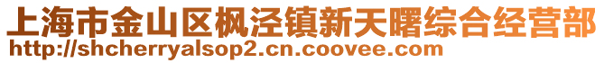 上海市金山區(qū)楓涇鎮(zhèn)新天曙綜合經(jīng)營(yíng)部