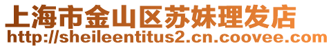 上海市金山區(qū)蘇妹理發(fā)店