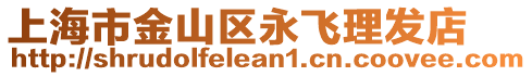 上海市金山區(qū)永飛理發(fā)店