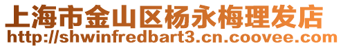 上海市金山區(qū)楊永梅理發(fā)店