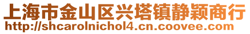 上海市金山區(qū)興塔鎮(zhèn)靜穎商行