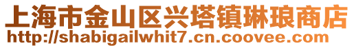 上海市金山區興塔鎮琳瑯商店