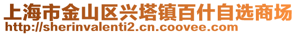 上海市金山區興塔鎮百什自選商場