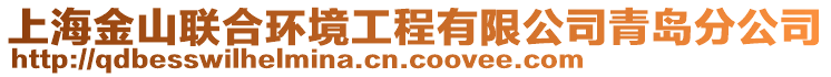 上海金山聯(lián)合環(huán)境工程有限公司青島分公司