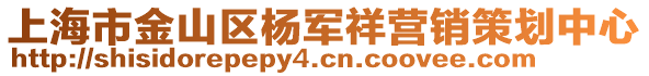 上海市金山區(qū)楊軍祥營銷策劃中心