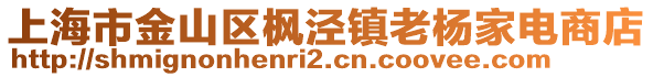 上海市金山區(qū)楓涇鎮(zhèn)老楊家電商店