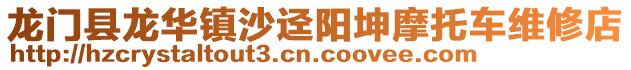 龙门县龙华镇沙迳阳坤摩托车维修店