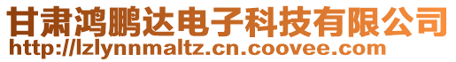 甘肃鸿鹏达电子科技有限公司