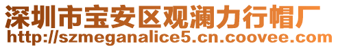 深圳市寶安區(qū)觀瀾力行帽廠