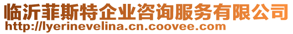 臨沂菲斯特企業(yè)咨詢服務(wù)有限公司