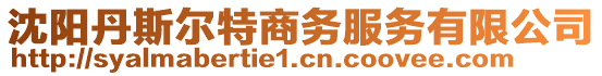 沈阳丹斯尔特商务服务有限公司