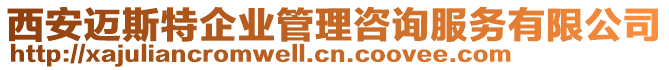 西安邁斯特企業(yè)管理咨詢服務有限公司