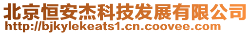 北京恒安杰科技发展有限公司