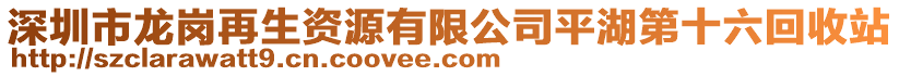 深圳市龍崗再生資源有限公司平湖第十六回收站