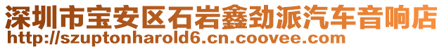 深圳市寶安區(qū)石巖鑫勁派汽車音響店