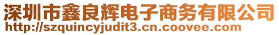 深圳市鑫良輝電子商務(wù)有限公司