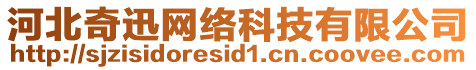 河北奇迅网络科技有限公司