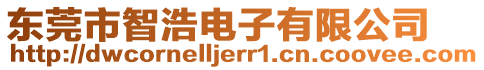 東莞市智浩電子有限公司