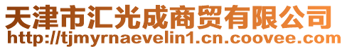 天津市匯光成商貿(mào)有限公司