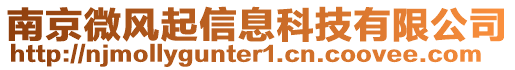 南京微風起信息科技有限公司