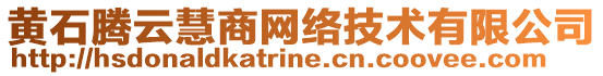 黄石腾云慧商网络技术有限公司