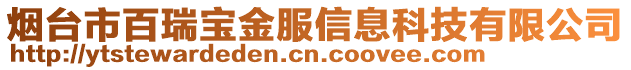 煙臺市百瑞寶金服信息科技有限公司