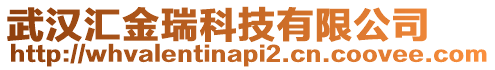 武漢匯金瑞科技有限公司