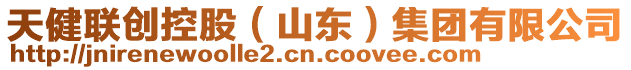 天健聯(lián)創(chuàng)控股（山東）集團(tuán)有限公司