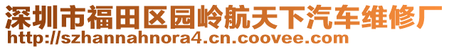 深圳市福田區(qū)園嶺航天下汽車維修廠