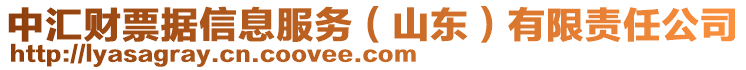 中匯財票據(jù)信息服務（山東）有限責任公司