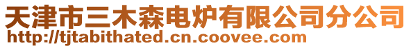 天津市三木森電爐有限公司分公司