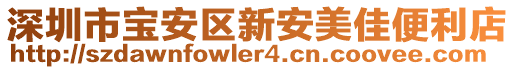 深圳市寶安區(qū)新安美佳便利店