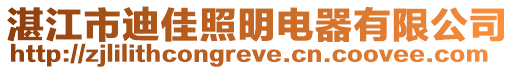 湛江市迪佳照明电器有限公司