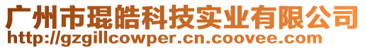 廣州市琨皓科技實(shí)業(yè)有限公司