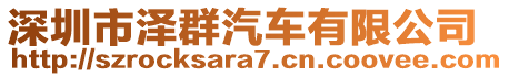 深圳市澤群汽車有限公司