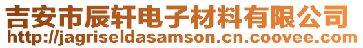 吉安市辰轩电子材料有限公司