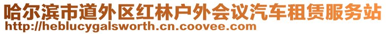 哈爾濱市道外區(qū)紅林戶外會議汽車租賃服務站