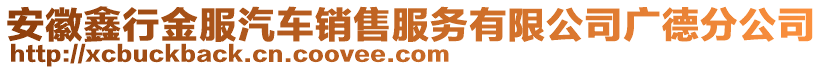 安徽鑫行金服汽車銷售服務(wù)有限公司廣德分公司