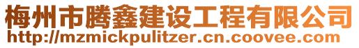 梅州市騰鑫建設(shè)工程有限公司