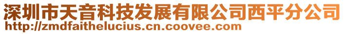 深圳市天音科技發(fā)展有限公司西平分公司