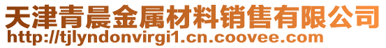 天津青晨金屬材料銷售有限公司