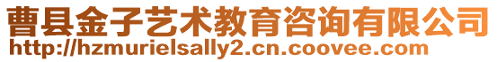 曹县金子艺术教育咨询有限公司