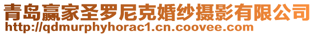 青島贏家圣羅尼克婚紗攝影有限公司