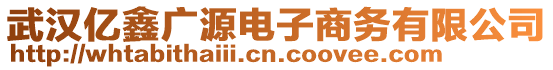 武漢億鑫廣源電子商務(wù)有限公司