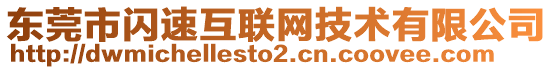 東莞市閃速互聯(lián)網(wǎng)技術(shù)有限公司